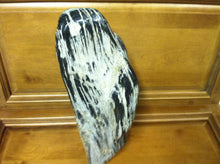 Load image into Gallery viewer, petrified wood fully polished cut base stand up