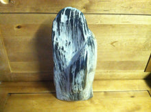 Load image into Gallery viewer, petrified wood fully polished cut base stand up