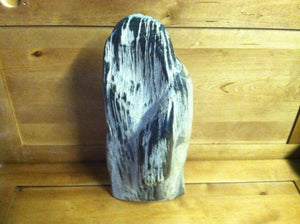 petrified wood fully polished cut base stand up