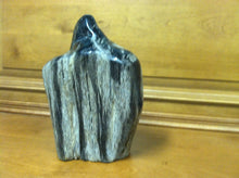 Load image into Gallery viewer, petrified wood fully polished cut base stand up