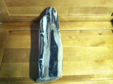 Load image into Gallery viewer, petrified wood fully polished cut base stand up