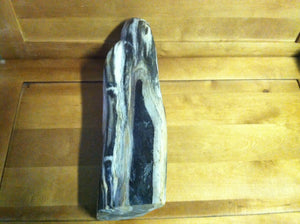 petrified wood fully polished cut base stand up