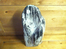 Load image into Gallery viewer, petrified wood fully polished cut base stand up