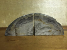 Load image into Gallery viewer, petrified wood bookends