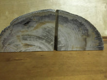 Load image into Gallery viewer, petrified wood bookends