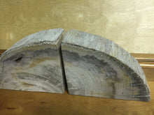 Load image into Gallery viewer, petrified wood bookends