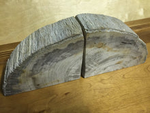 Load image into Gallery viewer, petrified wood bookends