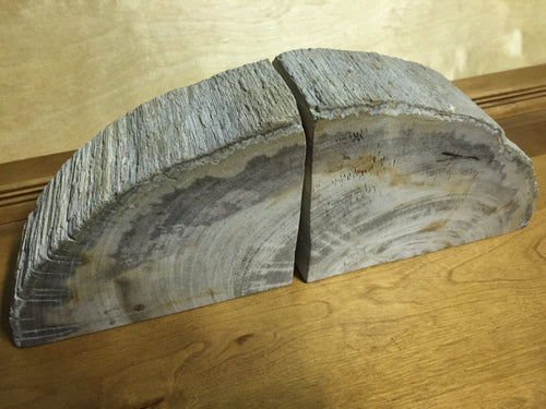 petrified wood bookends