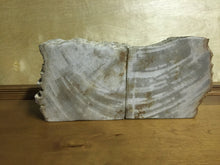 Load image into Gallery viewer, petrified wood bookends