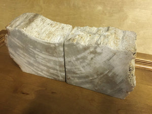 petrified wood bookends