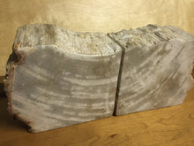 Load image into Gallery viewer, petrified wood bookends