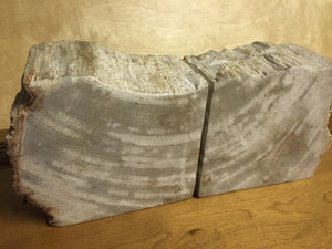 petrified wood bookends