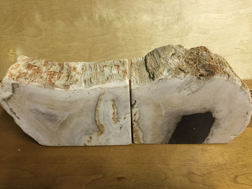 petrified wood bookends