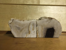 Load image into Gallery viewer, petrified wood bookends