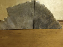 Load image into Gallery viewer, petrified wood bookends