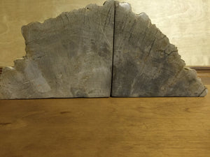 petrified wood bookends