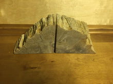 Load image into Gallery viewer, petrified wood bookends