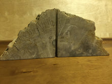 Load image into Gallery viewer, petrified wood bookends