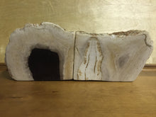 Load image into Gallery viewer, petrified wood bookends