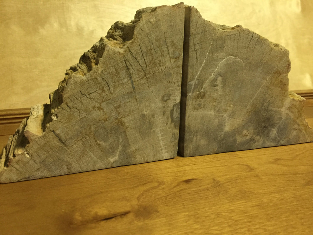 petrified wood bookends