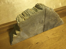 Load image into Gallery viewer, petrified wood bookends